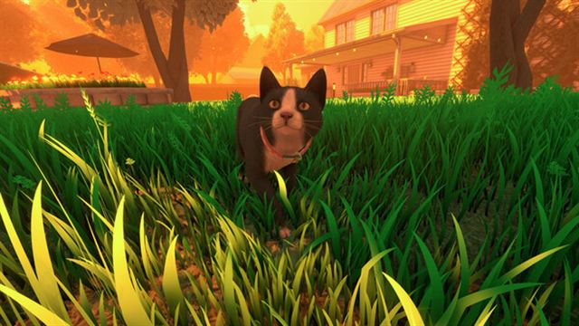 Hình ảnh trong game Copycat v1.0.6-P2P