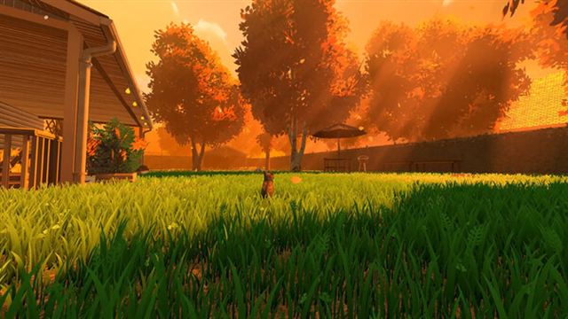 Hình ảnh trong game Copycat v1.0.1-P2P