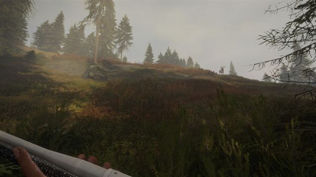 Hình ảnh trong game TheHunter Call of the Wild v3028143-P2P
