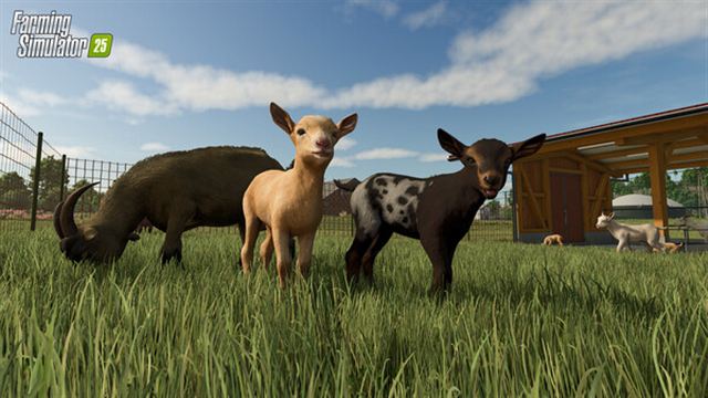 Hình ảnh trong game Farming Simulator 25 v1.7.0.0-P2P