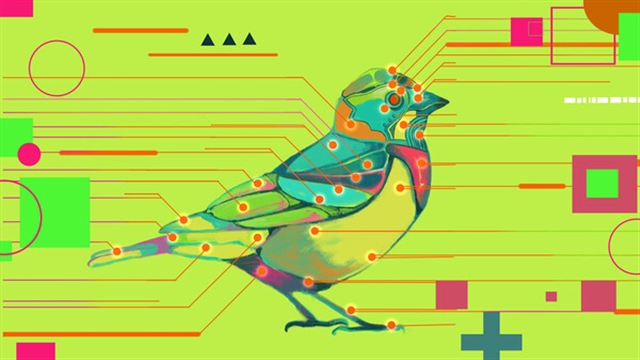 Hình ảnh trong game Avian Enigma-TENOKE