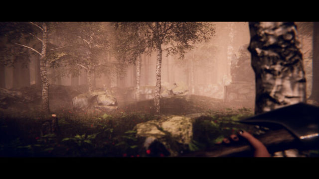 Hình ảnh trong game Project Songbird-TENOKE