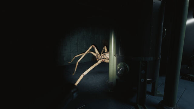 Hình ảnh trong game Huntsman-P2P