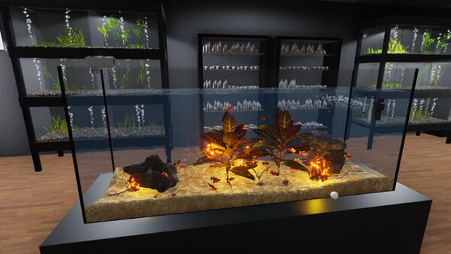 Hình ảnh trong game Aquarist American Fish-TENOKE