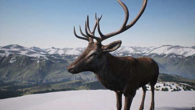 Hình ảnh trong game PROJECT HUNT Trophy Sanctuary-TENOKE