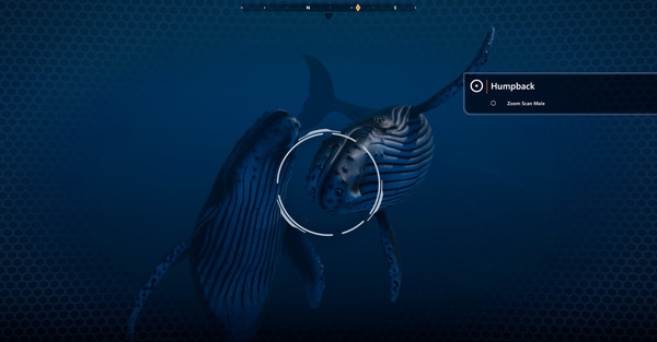 Hình ảnh trong game Beyond Blue The Tropical Reef-RUNE
