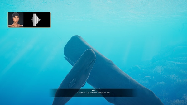 Hình ảnh trong game Beyond Blue The Tropical Reef-RUNE