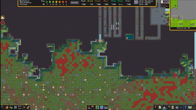 Hình ảnh trong game Dwarf Fortress v50.13-P2P